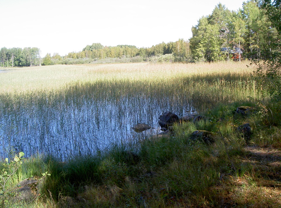 Gärdsvekarna