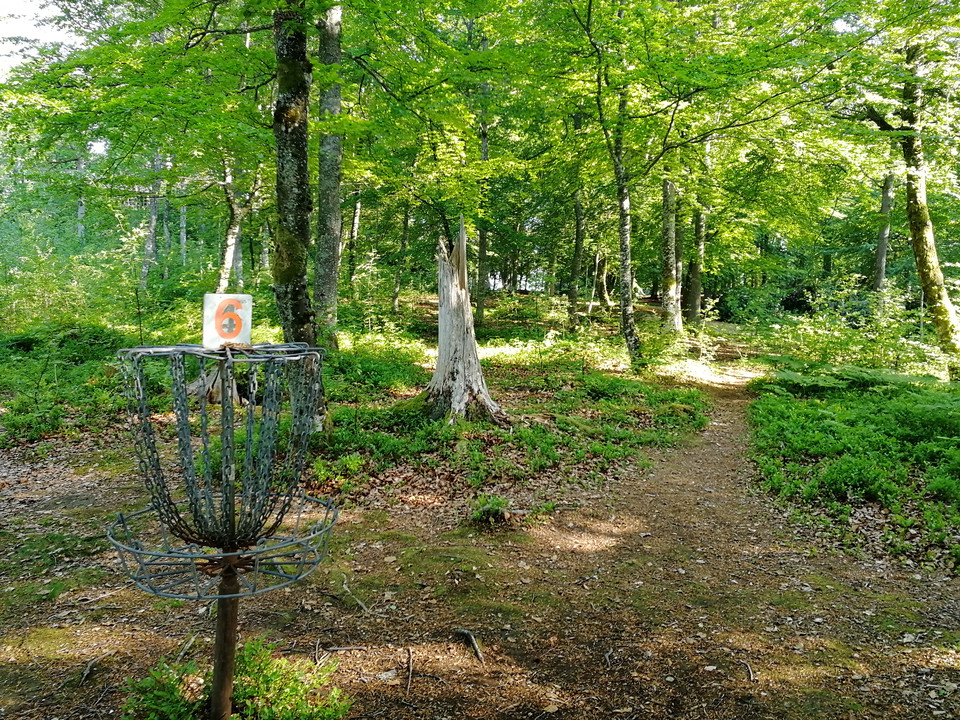 Äldre korgar är nu ersatta med 9 nya