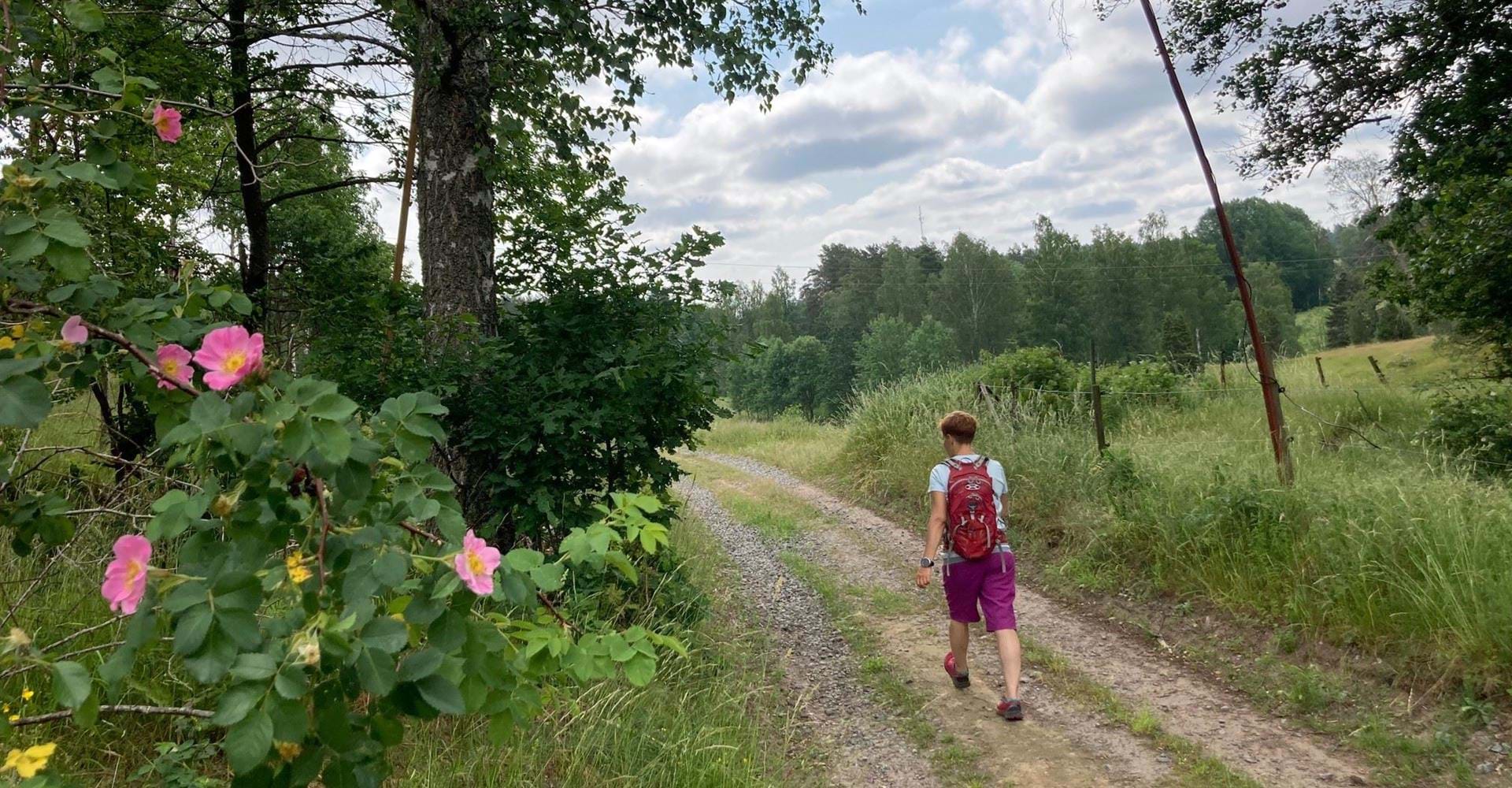 Etapp: Falerum-Åtvidaberg  och Finnbygget rundslinga