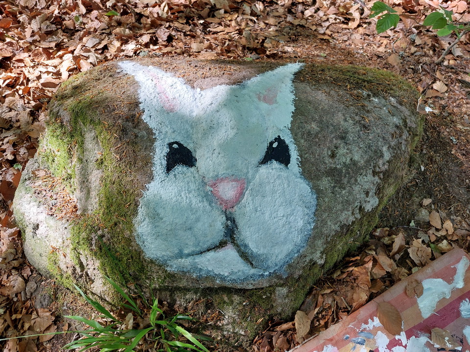 Av konstelev Görel Korner