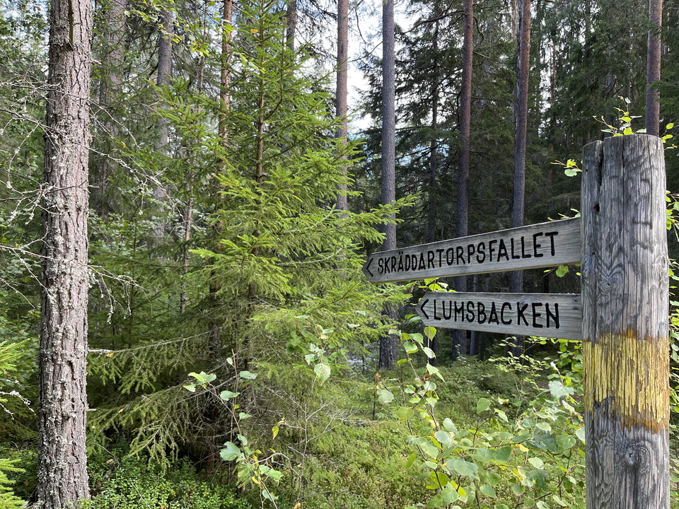 Ledhänvisning Lumsen