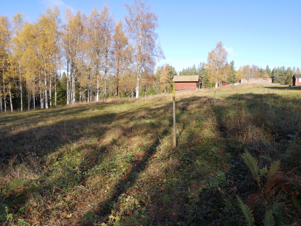 Längs med leden