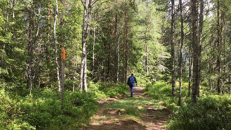 Vandringsled. Foto Ingrid Granberg Wirtberg.