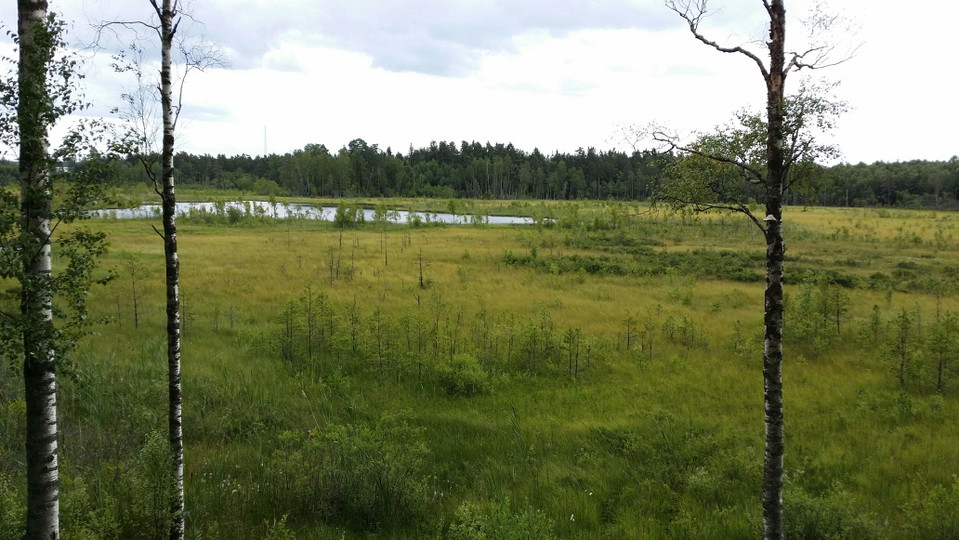 Vildmarkskänsla nära staden