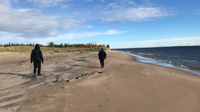 Likskäret