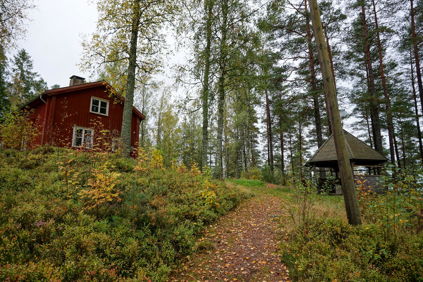 Foto: Johan Svedberg