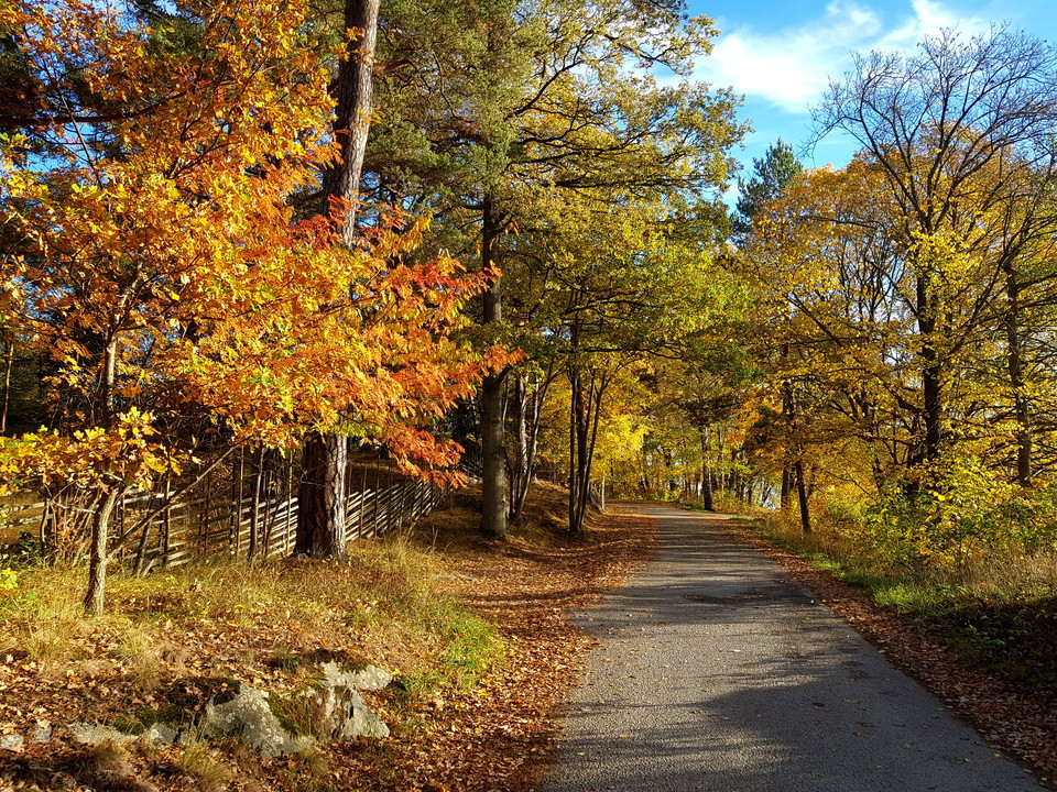 Väg söder om Dalakolonin. Foto Lidingö stad