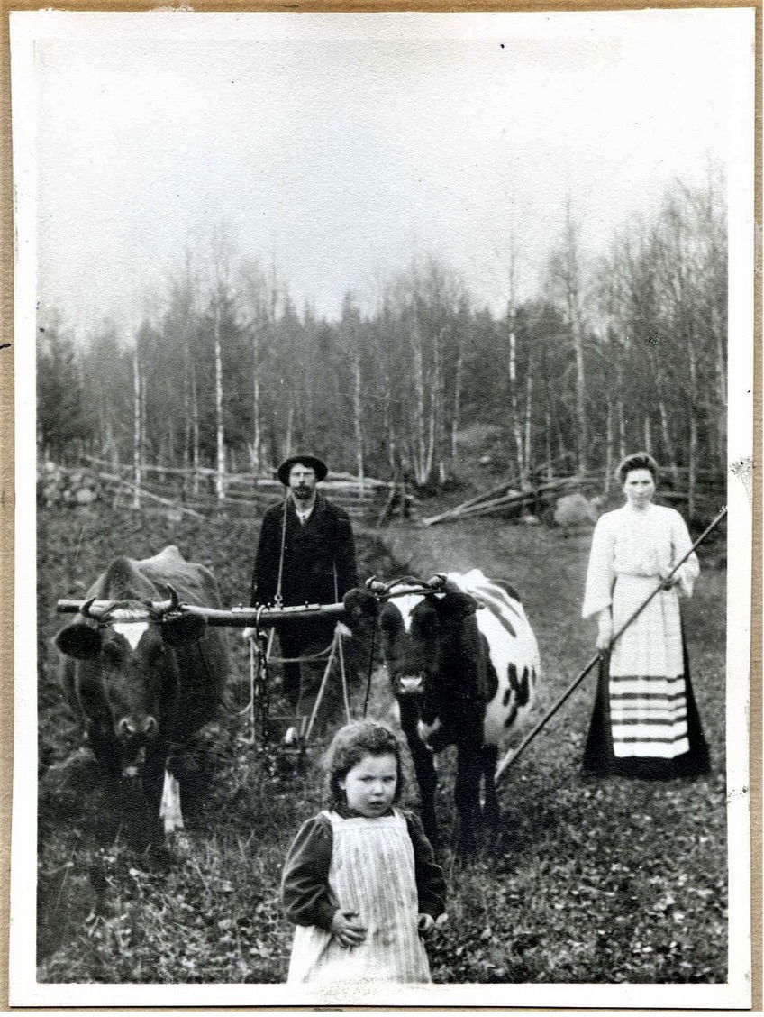 Carl Öhrström plöjer på Råsen i Skärsnäs tillsammans med sin familj Anna och dottern Berta någon gång 1880-1900. 