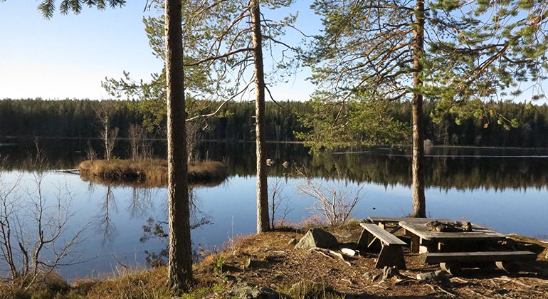 I Lustgården finns både vandringsled och rastplatser.