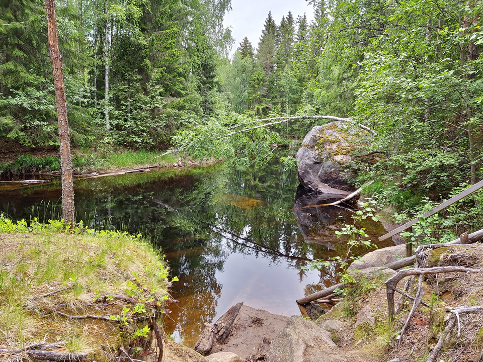 Foto: Khaled Zouroum 