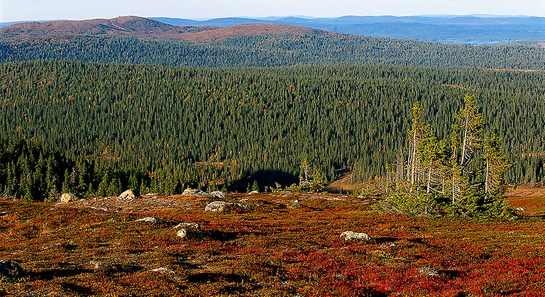 Höstvy från Akkanålke.