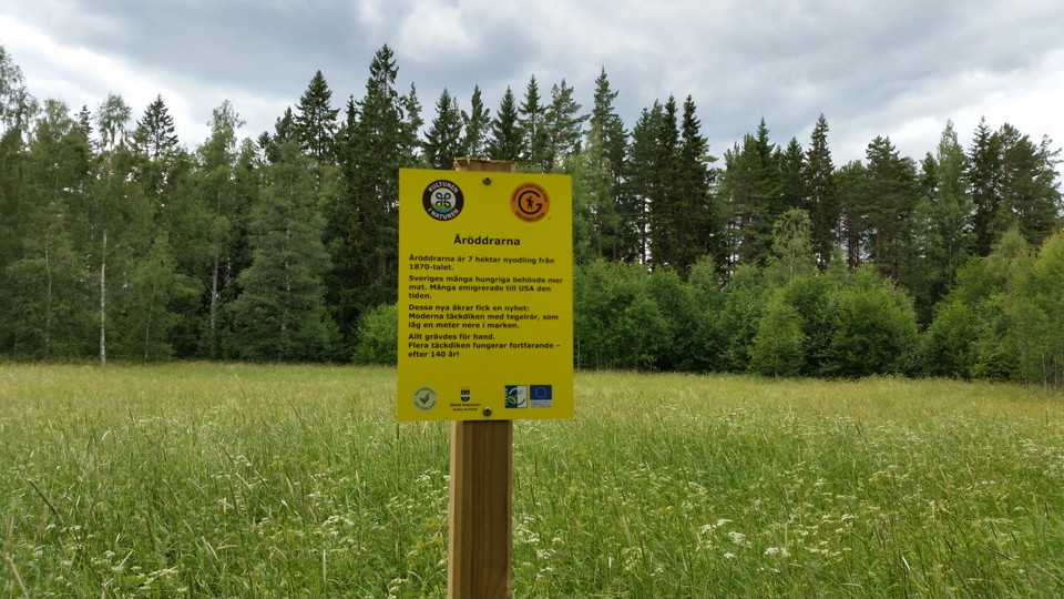 Åröddrarna