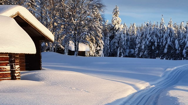 Motionsspår Persåsen 8 km