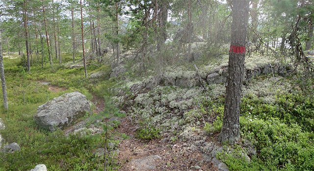 Trail eastern, Bälingeberget