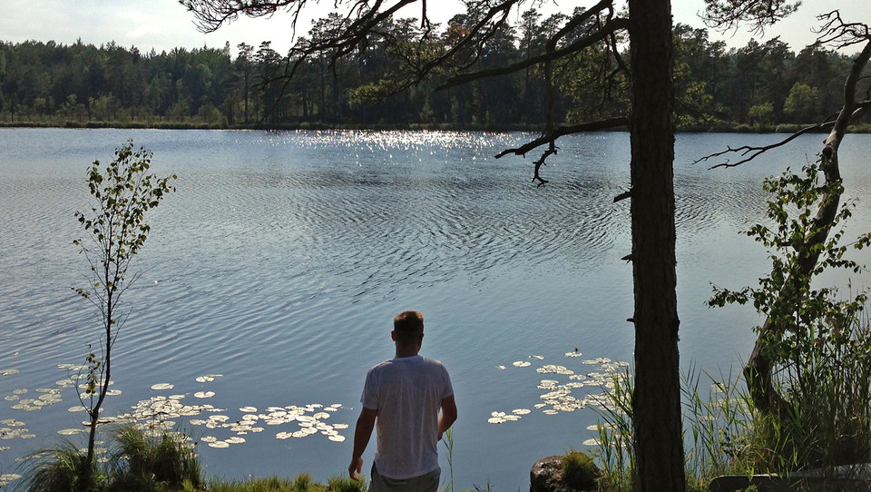 Sommardag i naturreservatet Långviksträsk.