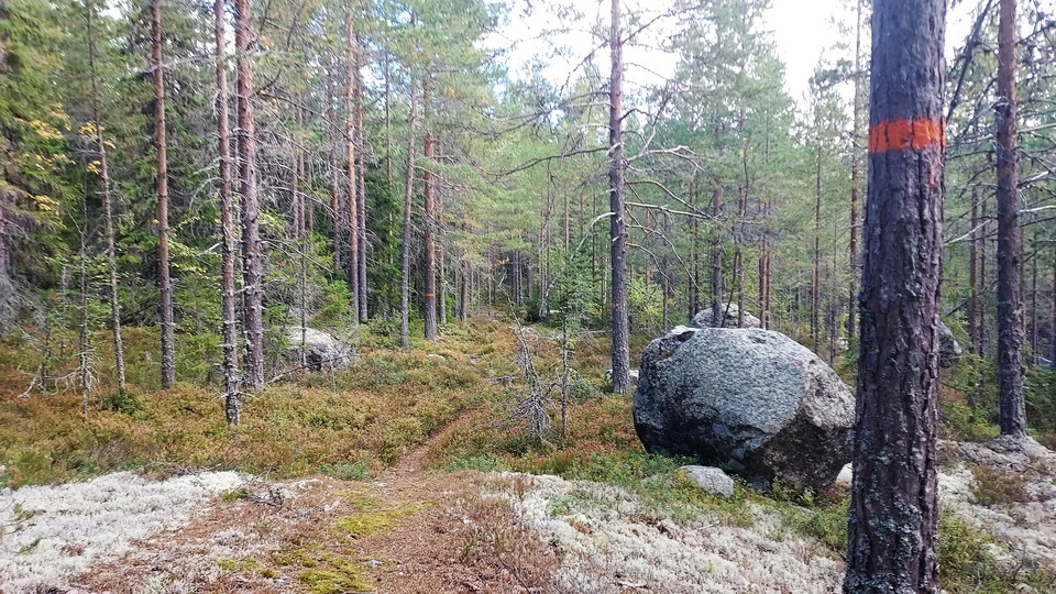 Ljusnanleden