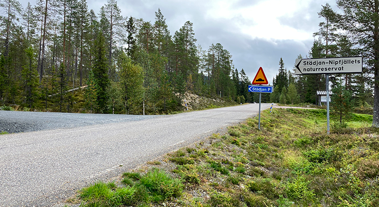 Städjans parkering ligger mellan Bergevägen som går från Idre by och väg 311. Området ligger cirka 8 kilometer nordost om Idre. 