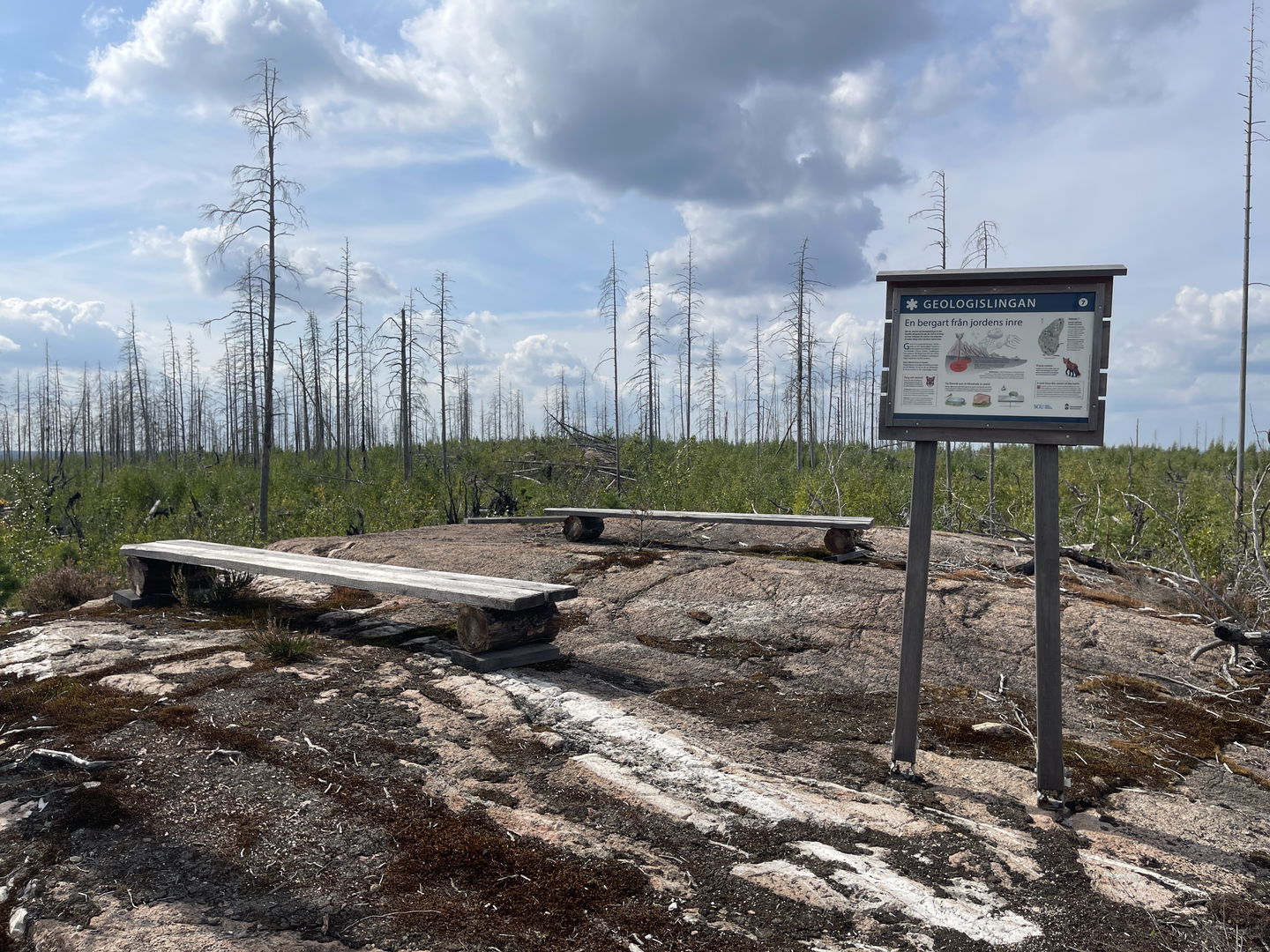 Informationsskylt vid stig, om geologi. Två enkla bänkar står bredvid.