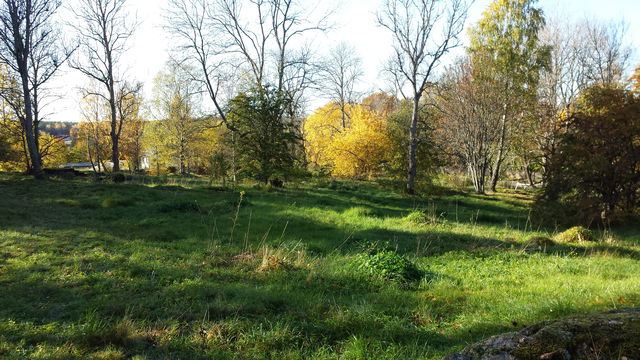 Glömsta gamla tomt