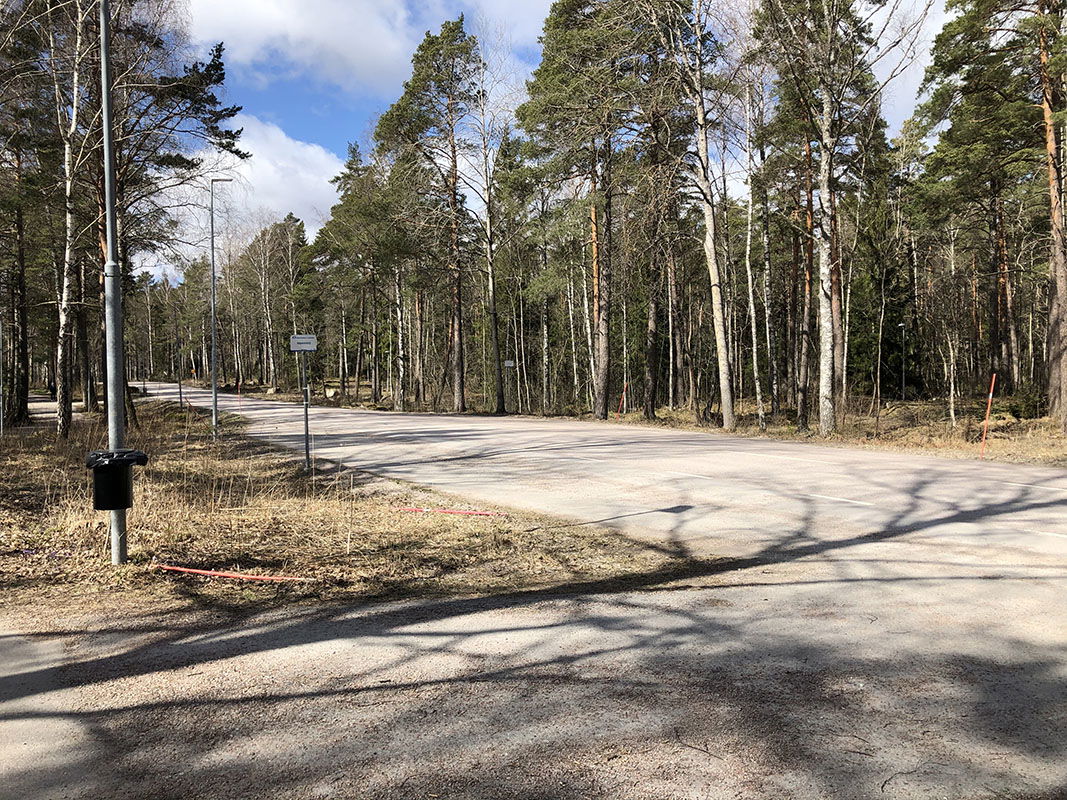 Busshållplatser vid landsväg kantad av tallar.