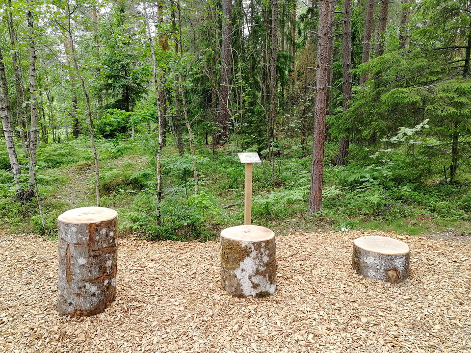 Stubbar för upphopp och step-up