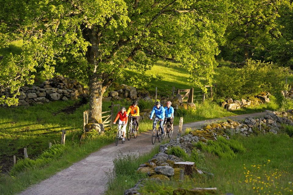 Sugen på en aktiv hemester?