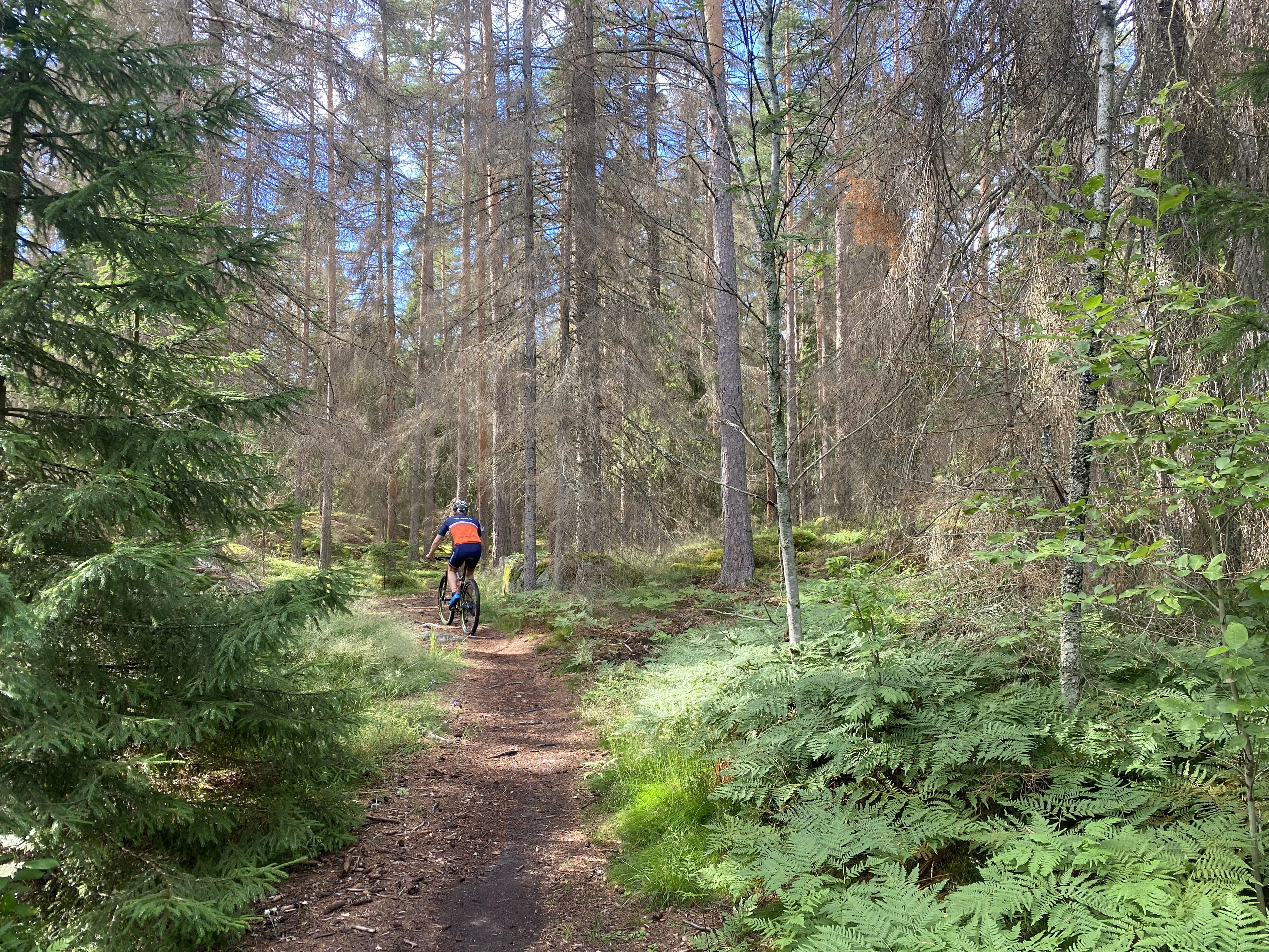 Den övervägande delen av Lista-spåret följer naturliga skogsstigar.