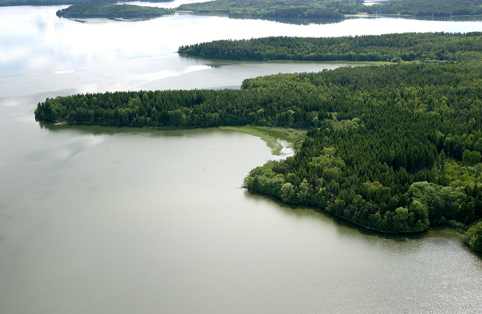 Flera skogstäckta uddar intill Mälaren 