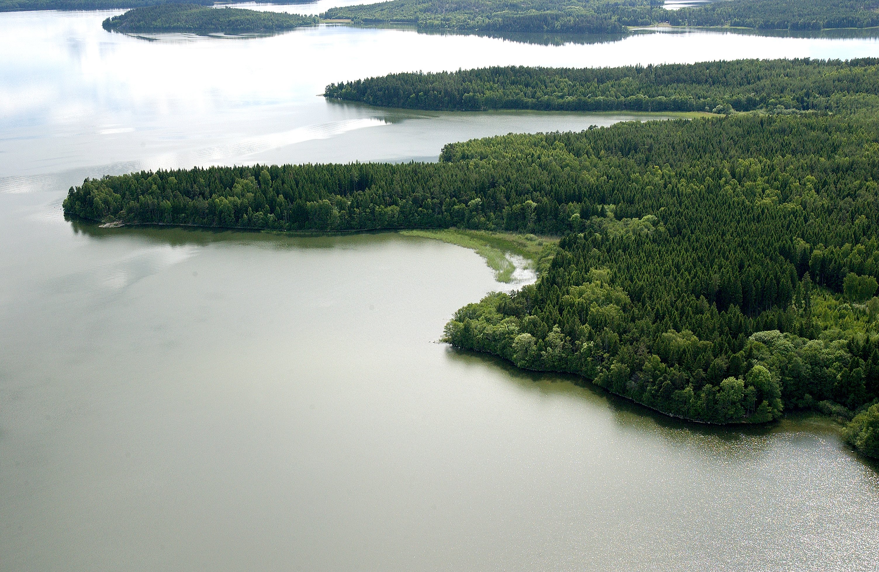 Ett flygfoto över området. Skogsklädda uddar går ut i Mälarens vatten.
