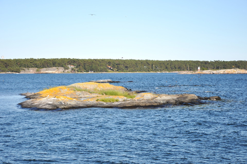 Fågelskär i Svartkobbens naturreservat.