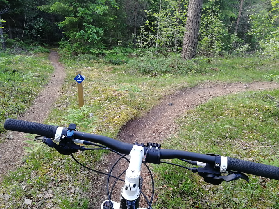 Allemansrätten – tema våren