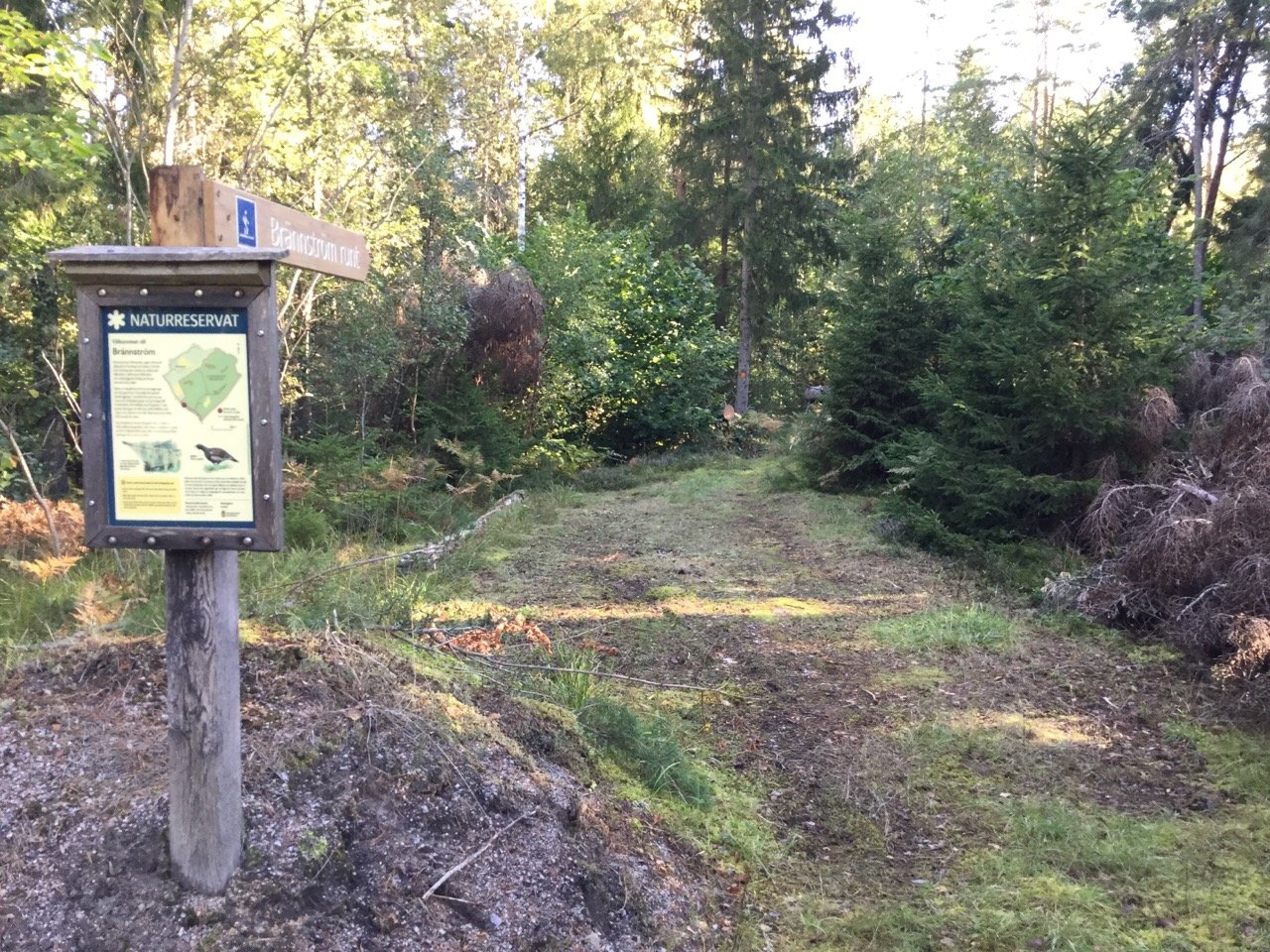 Informational sign and hiking trail in Brännström nature reserve.