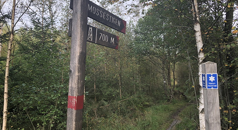 Djurholmamossen.