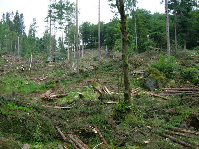 Stavsbjär, Naturreservat