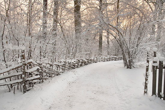 En bred och jämn promenadstig. På ena sidan av stigen står ett gärsgård och allt är täckt av snö. 