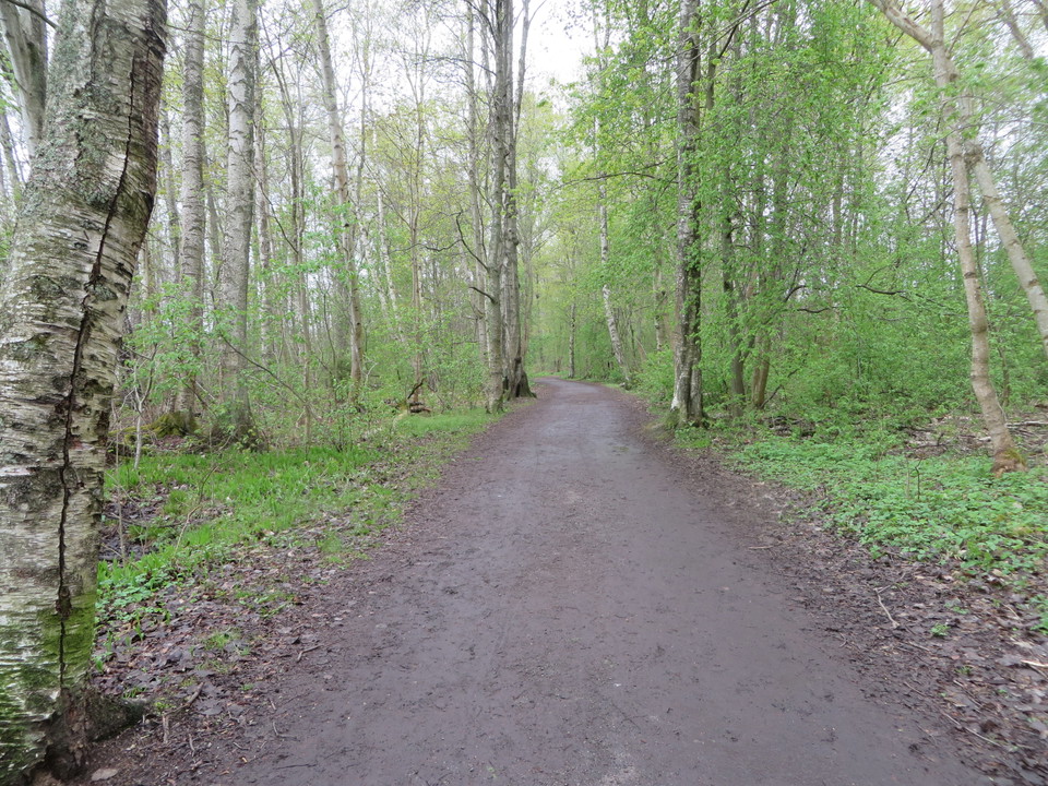 Stigen