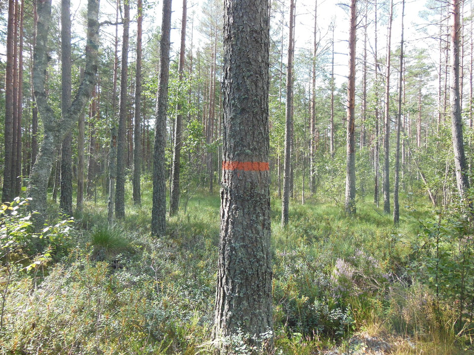 20 naturreservat i Motala kommun