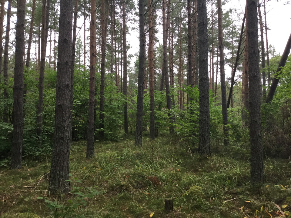 Kasbergets naturreservat