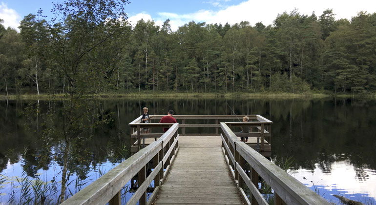 brygga mot en sjö