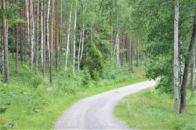 Adelsö-Sättra naturreservat