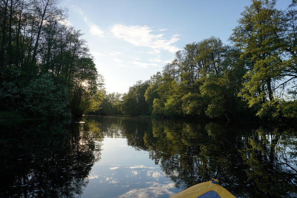 Paddling på spegelbland Testeboån i strålande sol