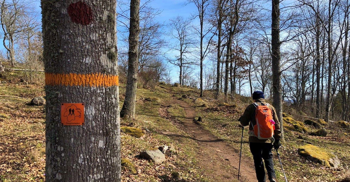 Leden går genom beteshage vid Makersbergen, Omberg.
Etapp Borghamn Strand - Alvastra, Ödeshög.