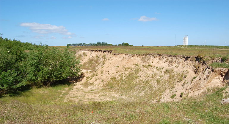 I sandbranterna häckar backsvalor.