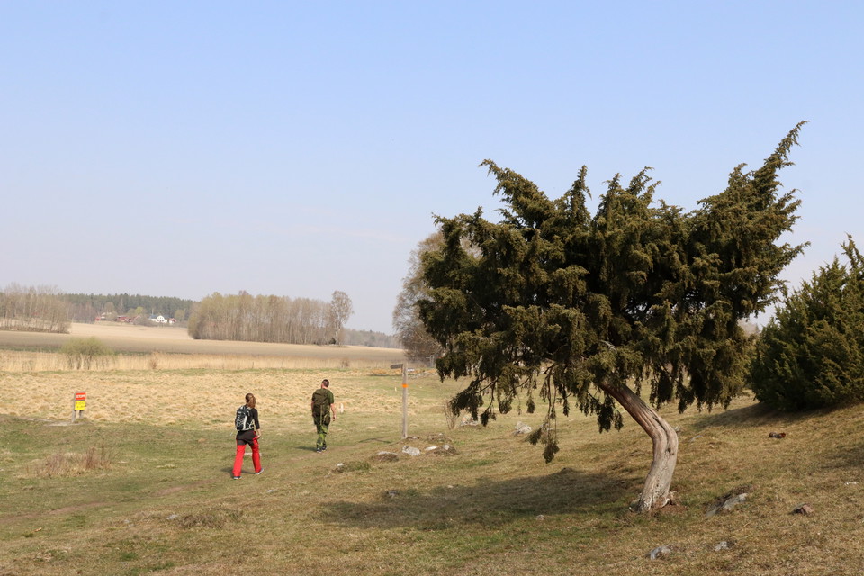 Hikers at Angarnssjöängen Natur Reserve