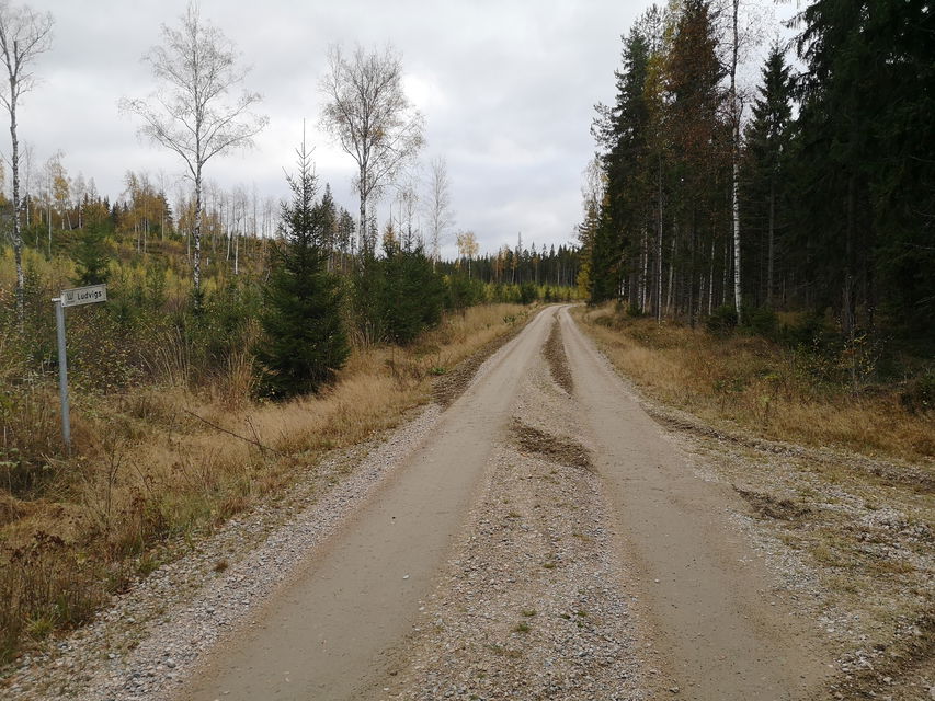 Längs med leden