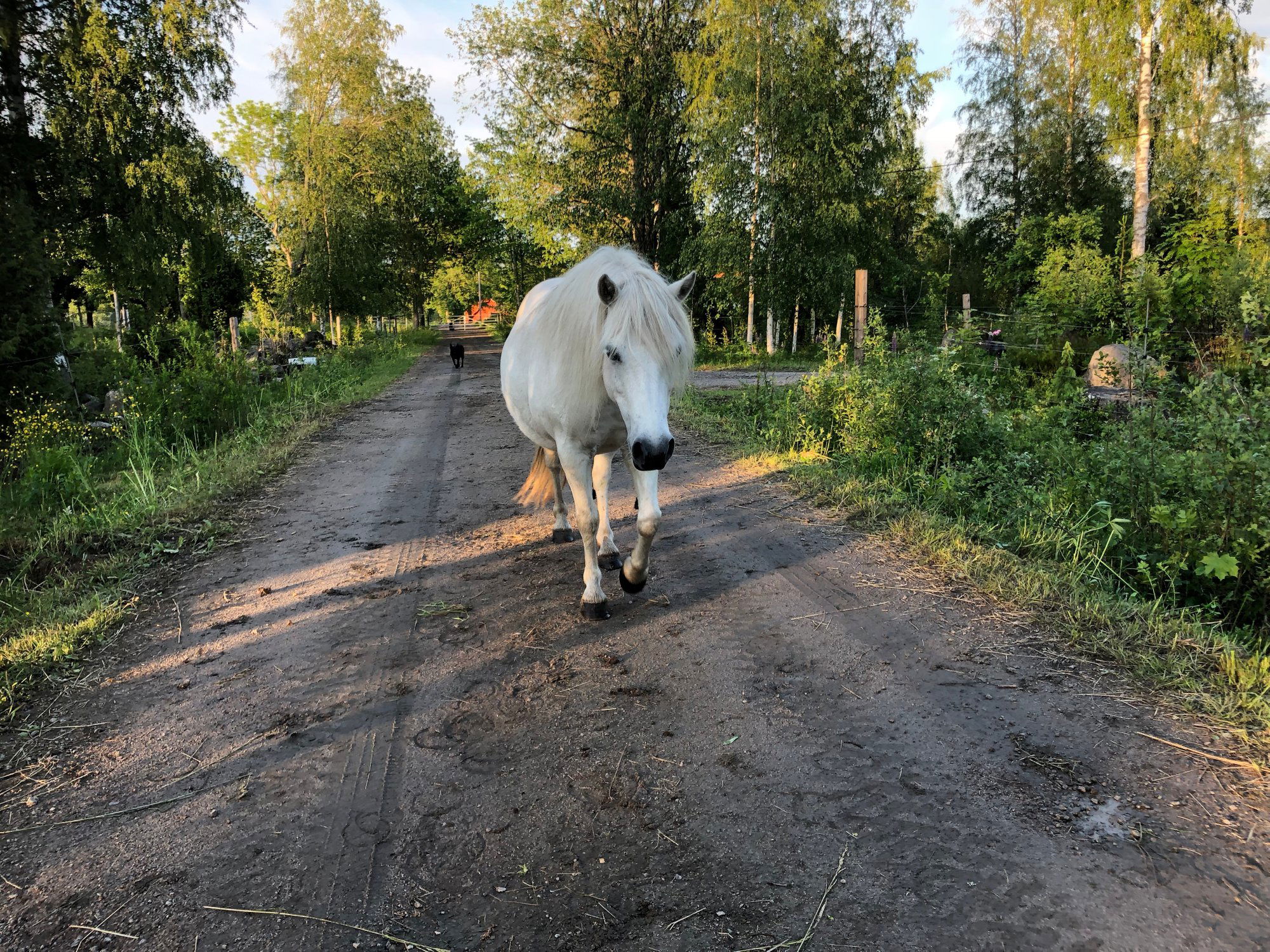 Grönelid Gård