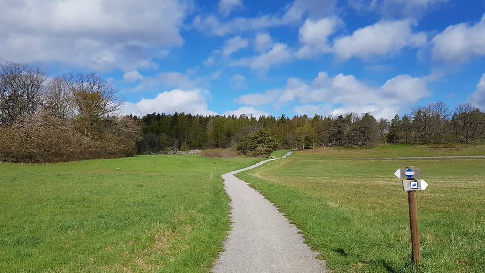 Ängar norr om Hustegaholm strax före slutet på Lidingöloppets första mil. Foto Lidingö stad