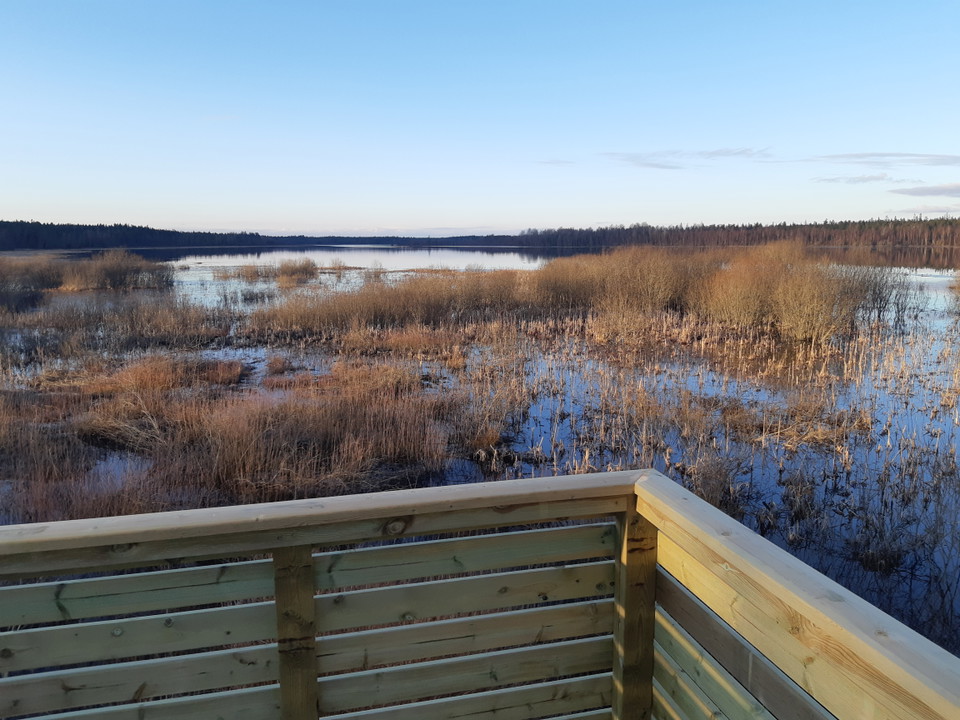 Skåda ett rikt fågelliv