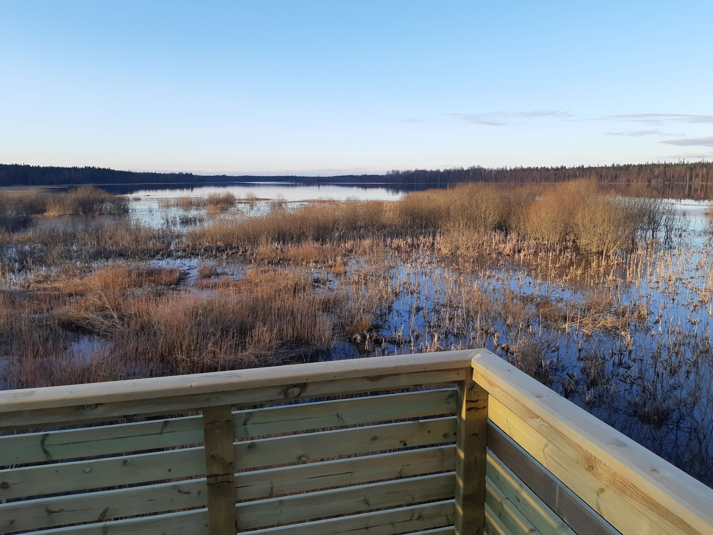Skåda ett rikt fågelliv