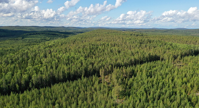 Vy mot Sakritjärnberget.